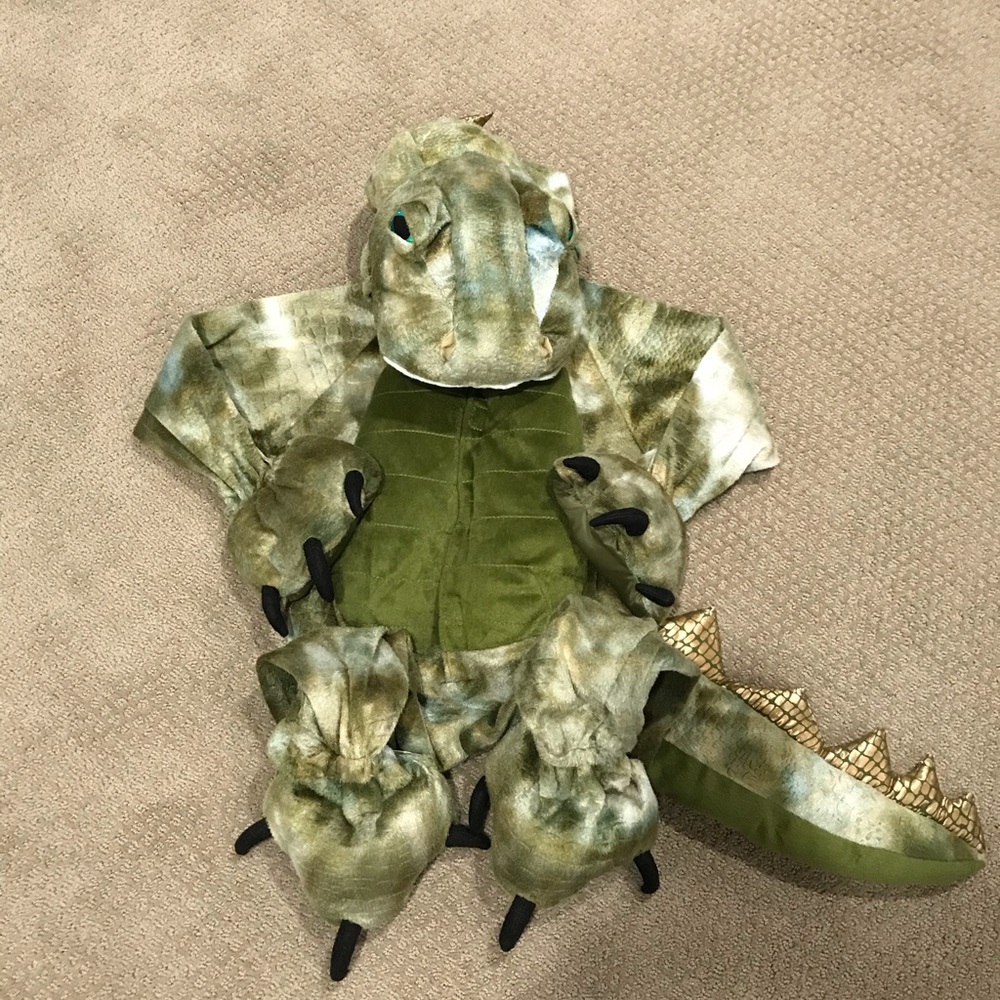 Dinosaur costume